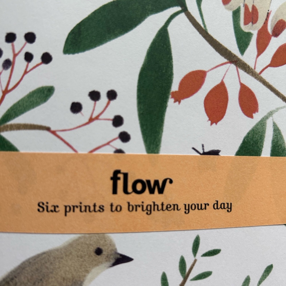 Flow Magazine Issue 22 - Picture 11 of 14